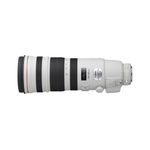 Canon EF 200-400mm f/4 L IS USM Extender 1.4x