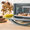 Cecotec Bake&Toast 450