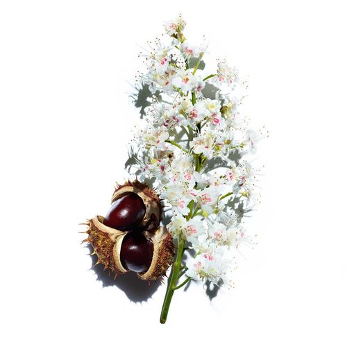 Clarins Nutri-Lumière Notte Crema Ricostituente 50ml