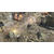 Sega Company of Heroes 2