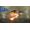 Square Enix Crisis Core Final Fantasy VII Reunion PS5
