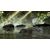 Deep Silver Dead Island: Riptide PC