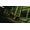 Electronic Arts Dead Space (2008) Xbox 360