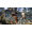 Deep Silver Kingdom Come Deliverance - Royal Edition PC
