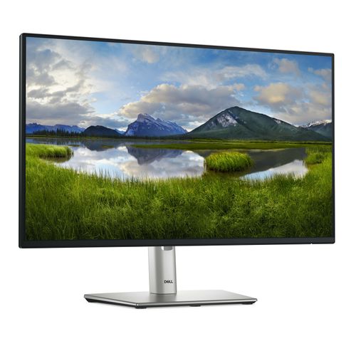 Dell P2425H