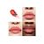 Dior Addict Lip Maximizer Gloss Rimpolpante 015 Cherry