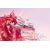 Dior Miss Dior Parfum 50ml