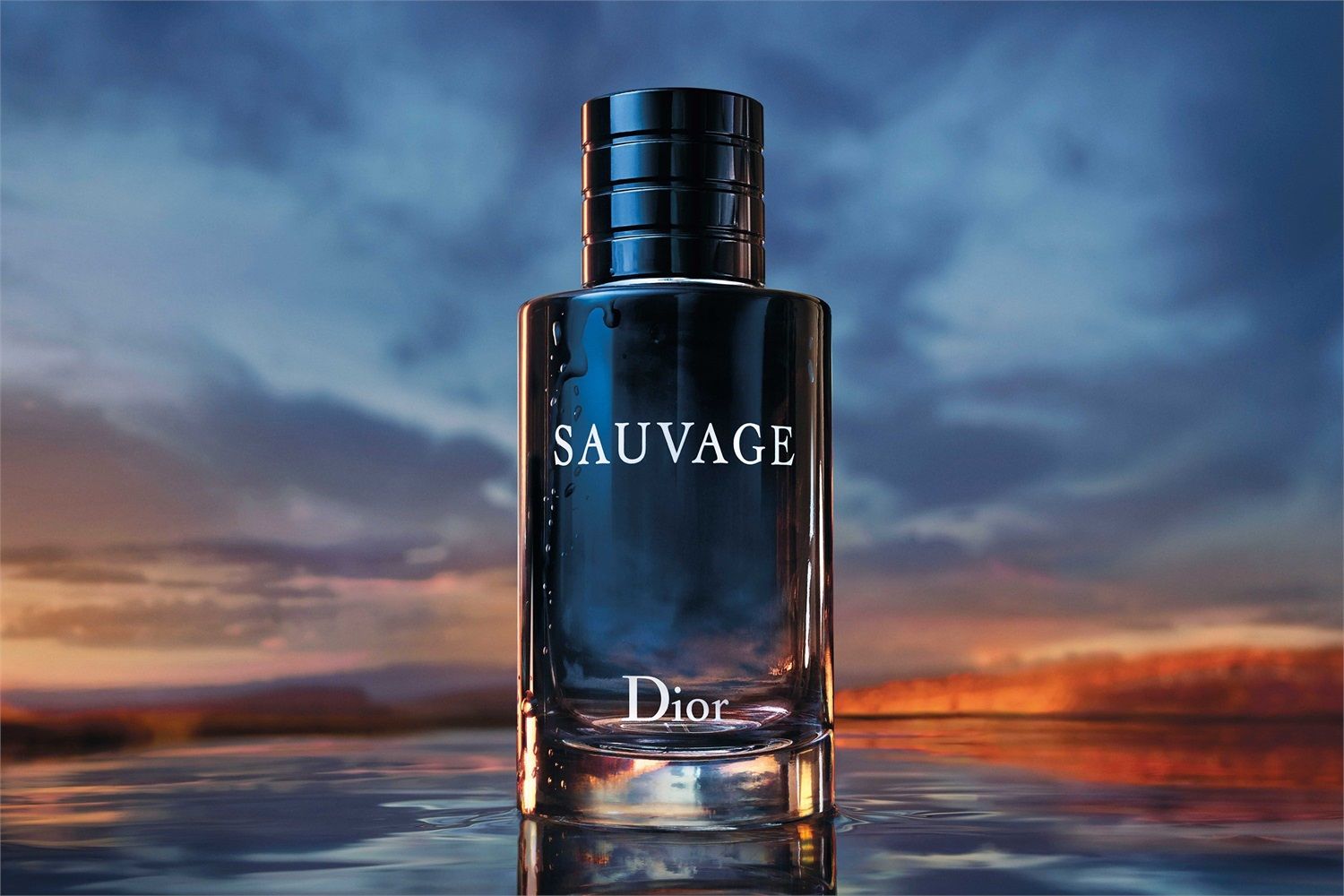 Profumo sauvage dior prezzo hotsell