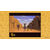 Disney Classic Games: Aladdin and The Lion King Switch