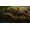 Capcom Dragon's Dogma: Dark Arisen Xbox 360