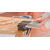 Dremel Moto-Saw (MS20-1/5)