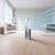 Dyson Purifier Hot + Cool