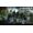 Electronic Arts Crysis 2 PS3