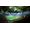Electronic Arts EA Sports FC 24 PC