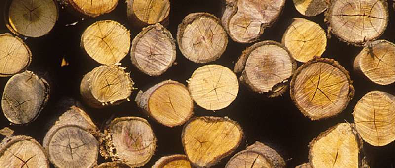 Einhell GE-LC 18 Li-Solo