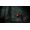 Bandai Namco Elden Ring: Shadow of the Erdtree - Collector's Edition PC