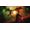Focus Entertainment Evil West Xbox Series X / Xbox One