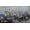 Codemasters F1 2016 - Limited Edition PS4