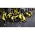 Codemasters F1 23 Xbox Series X / Xbox One