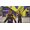 Codemasters F1 23 Xbox Series X / Xbox One