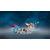 Lego Fantastic Beasts 75952 La valigia delle creature magiche di Newt