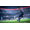 Electronic Arts FIFA 19 Champions Edition Switch