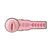 Fleshlight Masturbatore Pink Lady Mini-Lotus