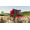 Giants Software Farming Simulator 22 PS5
