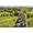Gardena Smart Sileno Life 1000