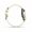 Garmin Lily 2 Classic Cream Gold