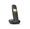Gigaset A170 Duo