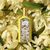 Gucci Flora Gorgeous Orchid Eau de Parfum 50ml