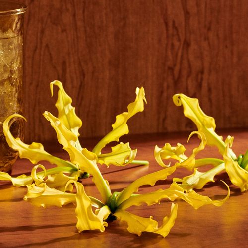 Gucci Guilty Eau de Parfum Intense Pour Femme 30ml