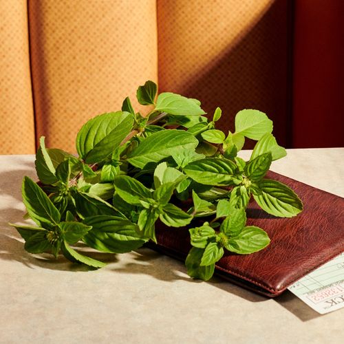 Gucci Guilty Eau de Parfum Intense Pour Femme 30ml