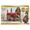 Harry Potter Small Dolls Set Amicizia Ron e Ginny