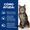 Hill's Prescription Diet Metabolic Adult Gatto - umido Scatoletta 82g