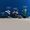Lego Icons 10309 Piante grasse