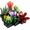 Lego Icons 10309 Piante grasse