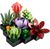 Lego Icons 10309 Piante grasse