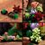 Lego Icons 10309 Piante grasse