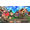 Game Freak Little Town Hero - Big Idea Edition Switch