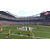 Electronic Arts Madden NFL 15 PS4