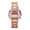 Michael Kors Parker Rose MK5491