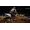 Milestone Monster Energy Supercross PC
