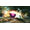 Bandai Namco Naruto Shippuden: Ultimate Ninja Storm 4 PS4