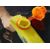 Nerf Super Soaker Wave Spray