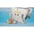 Bandai Namco One Piece Odyssey Switch (Deluxe Edition)