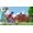 Bandai Namco One Piece Odyssey Xbox Series X