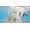 Bandai Namco One Piece Odyssey Xbox Series X
