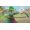Bandai Namco One Piece Odyssey Xbox Series X